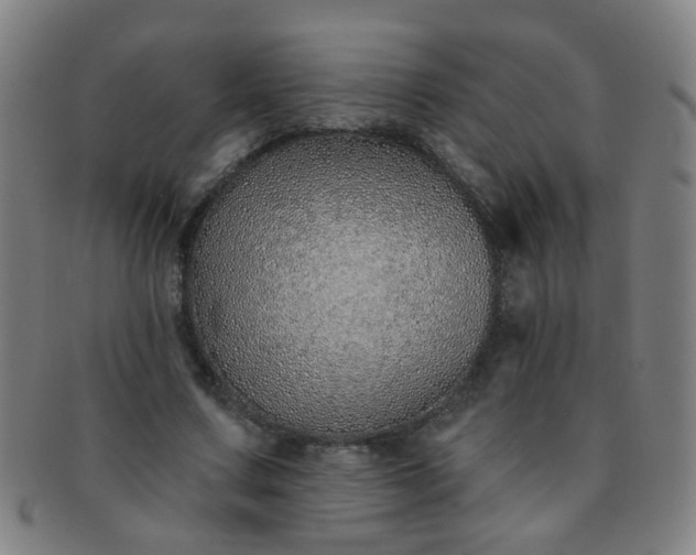 X0000091370683200708241334