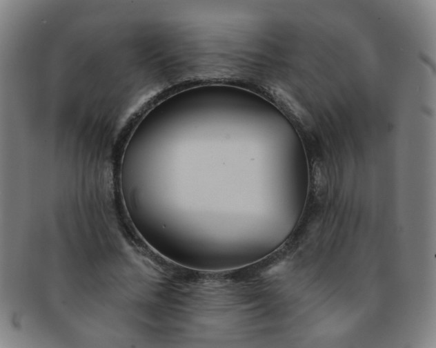 X0000091370684200708241334