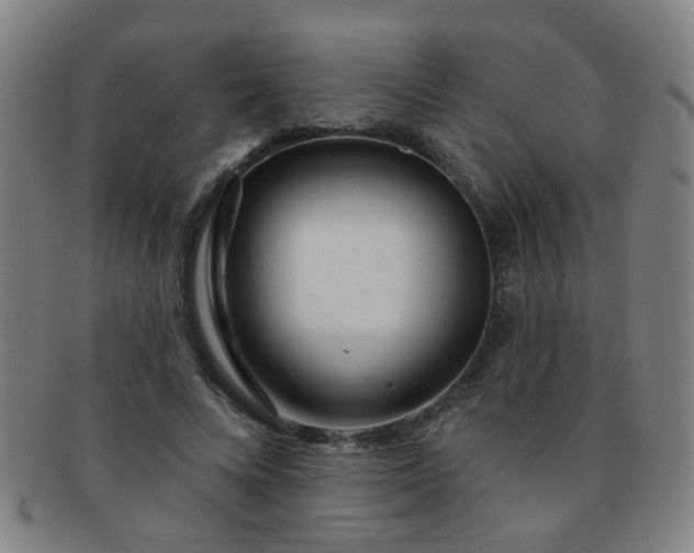 X0000091370688200708241334