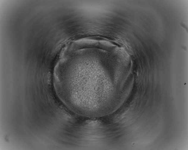 X0000091370689200708241334