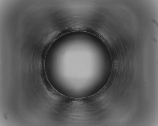 X0000091370690200708241334