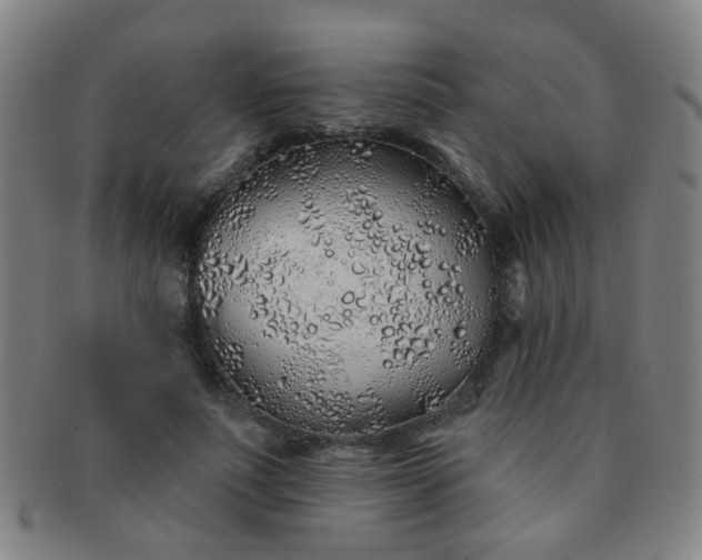 X0000091370691200708241334