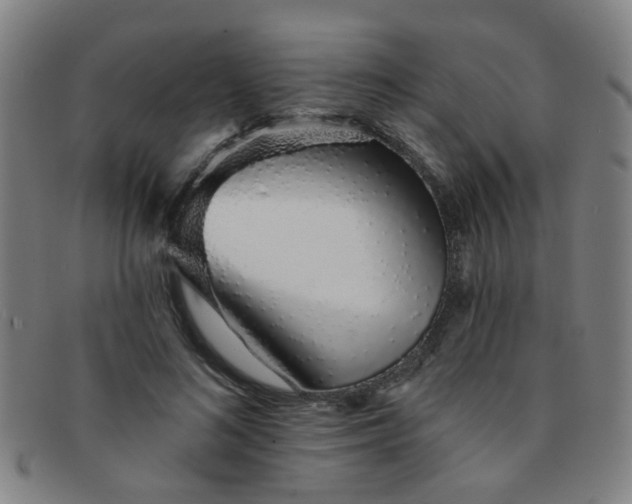 X0000091370692200708241334