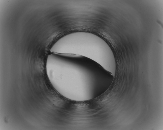 X0000091370693200708241334