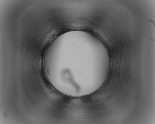 X0000091370694200708241334