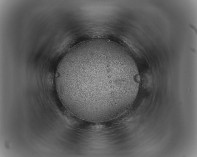 X0000091370695200708241334