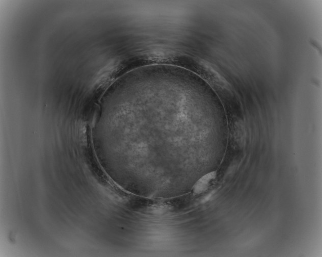 X0000091370696200708241334