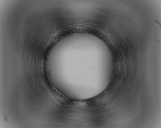 X0000091370698200708241334