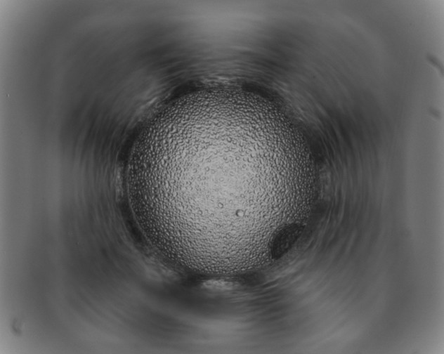 X0000091370699200708241334