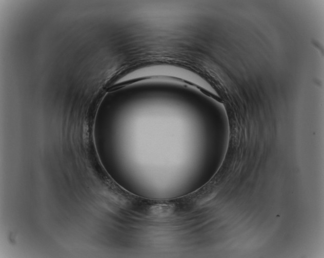 X0000091370700200708241334