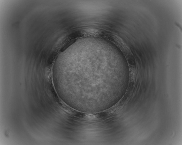 X0000091370701200708241334