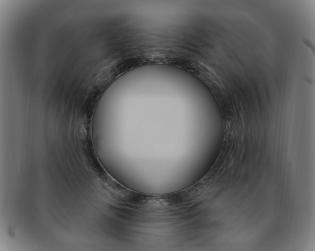 X0000091370702200708241334