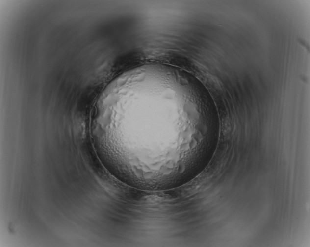 X0000091370703200708241334