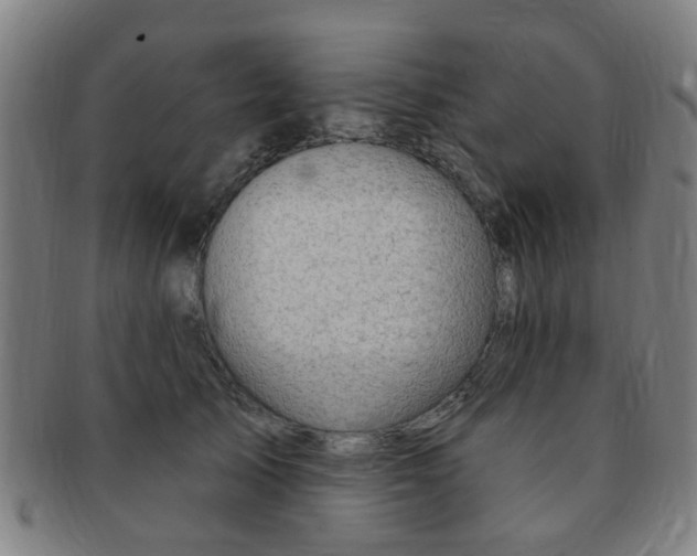 X0000091370705200708241334