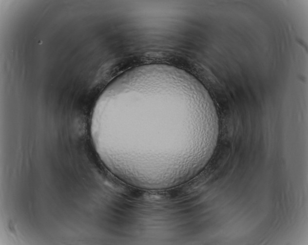 X0000091370706200708241334