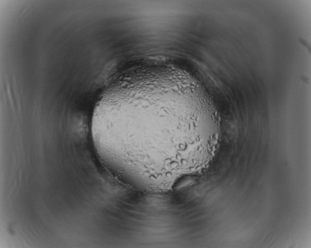 X0000091370707200708241334