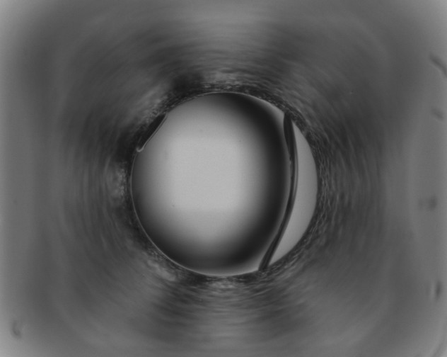 X0000091370708200708241334