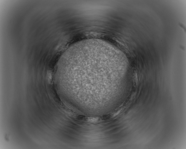 X0000091370709200708241334