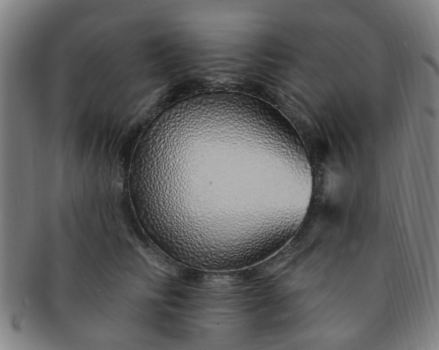 X0000091370710200708241334