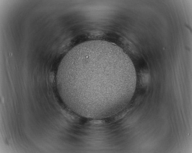 X0000091370711200708241334