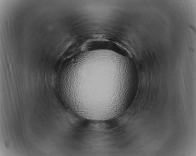 X0000091370712200708241334