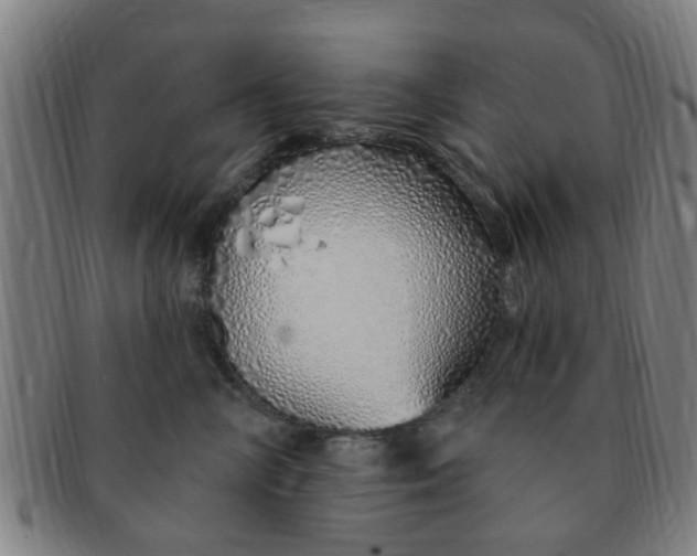 X0000091370714200708241334