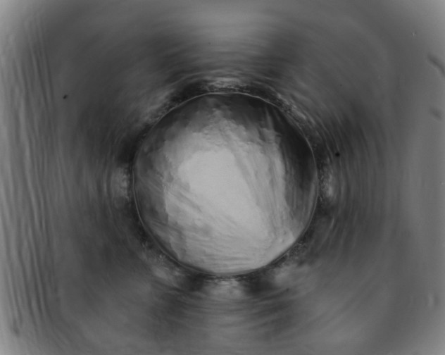 X0000091370715200708241334