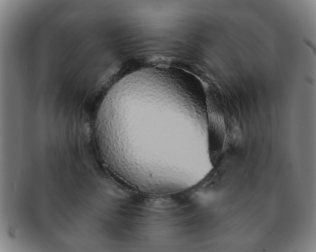 X0000091370716200708241334