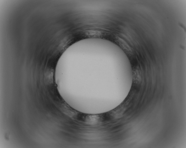 X0000091370717200708241334