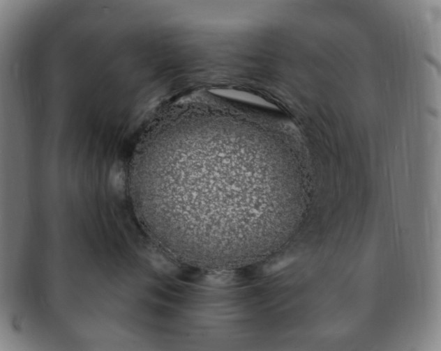 X0000091370720200708241333