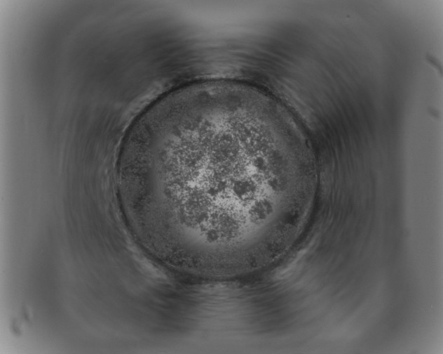 X0000091370721200708241333