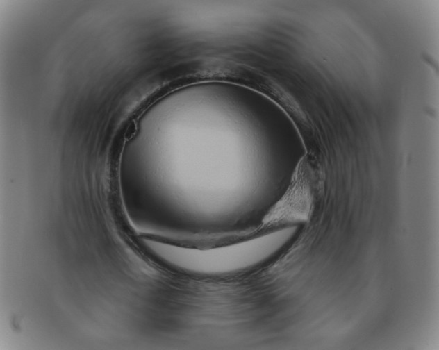 X0000091370722200708241333