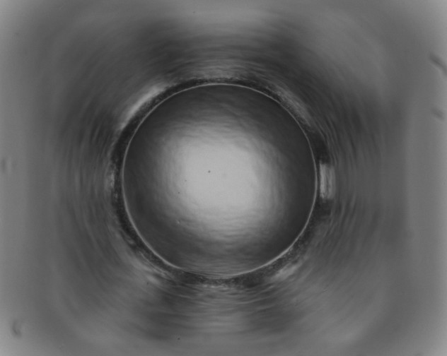 X0000091370723200708241333