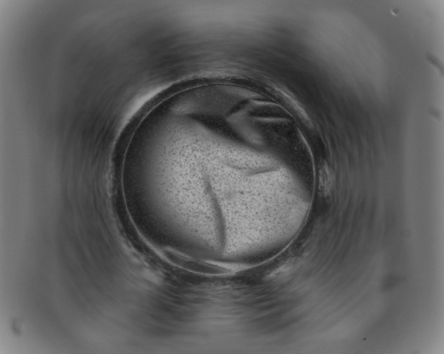 X0000091370724200708241333