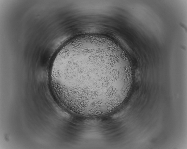 X0000091370725200708241333