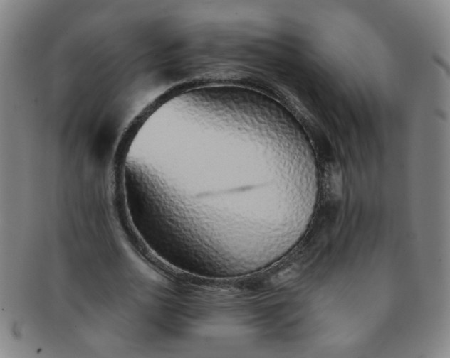 X0000091370726200708241333