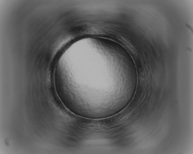 X0000091370727200708241333