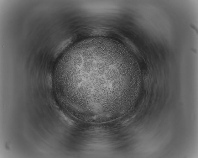 X0000091370729200708241333