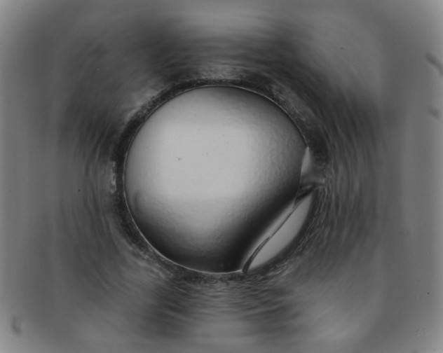 X0000091370731200708241333