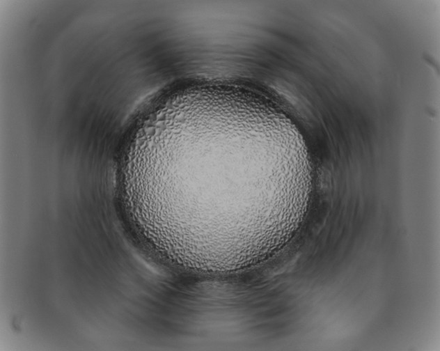 X0000091370733200708241333