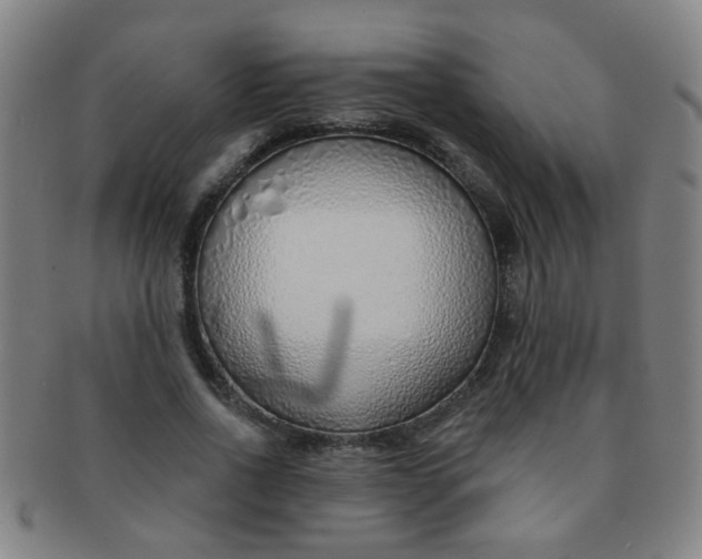 X0000091370734200708241333