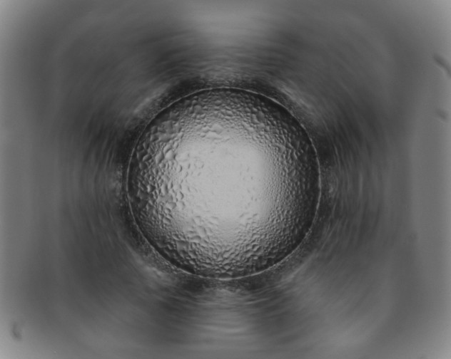 X0000091370737200708241333