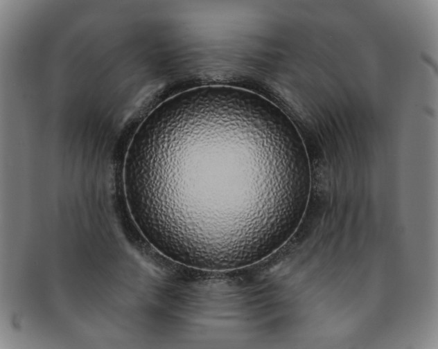 X0000091370738200708241333