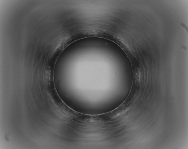 X0000091370739200708241333