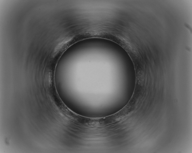 X0000091370740200708241333