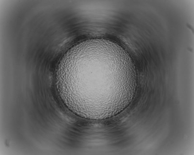 X0000091370741200708241333