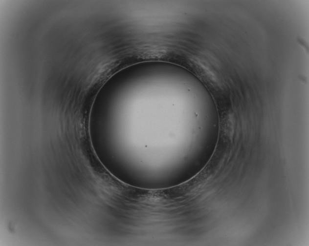 X0000091370743200708241333