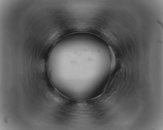 X0000091370744200708241333