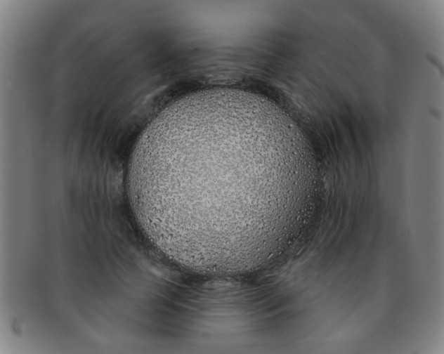 X0000091370745200708241333