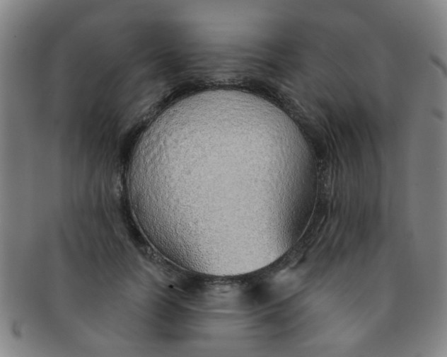 X0000091370746200708241333